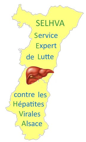 Logo Service Expert de Lutte contre les Hépatites Virales (SELHVA)
